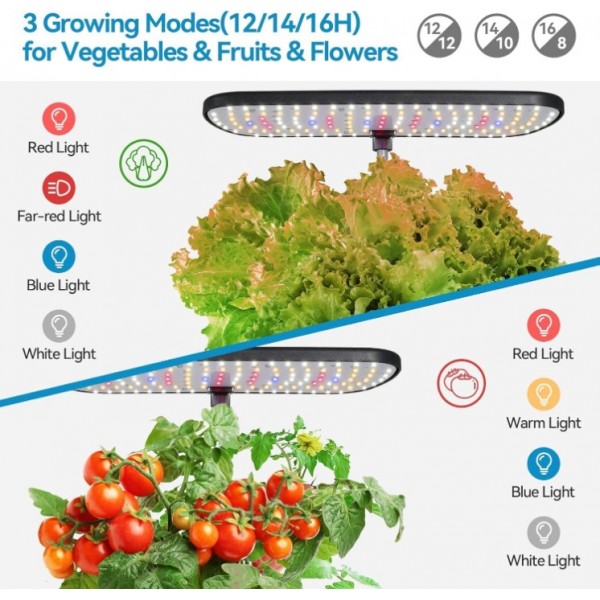 Indoor Hydroponic Growing System with LED Light