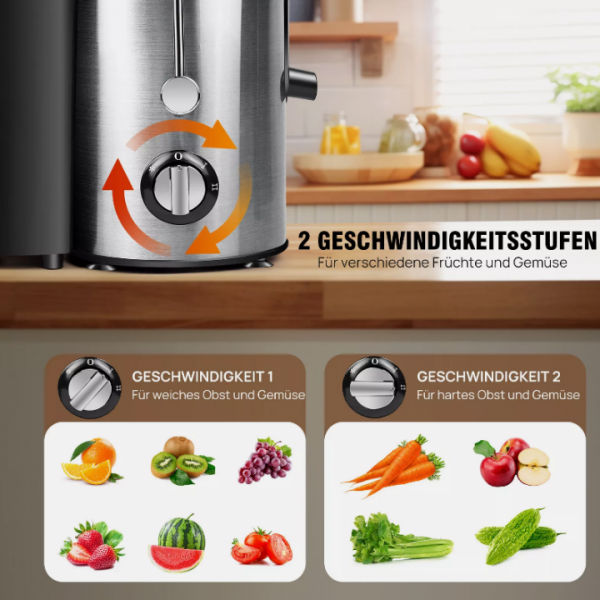 1000W Juicer Electric Juice Press Stainless Steel