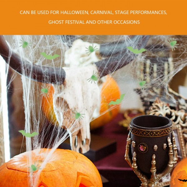 Glow Luminous Spider Web Set with Spiders and Bats