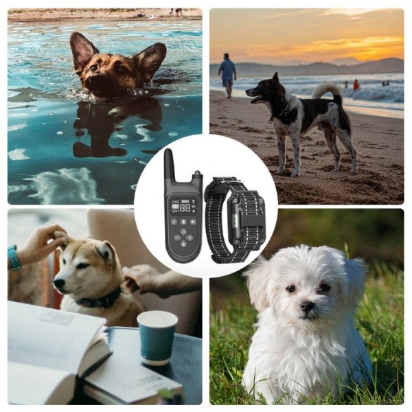 1000M Hund Ausbildung Stromschlag Erziehungshalsband Hunde Vibration Ton e-Shock