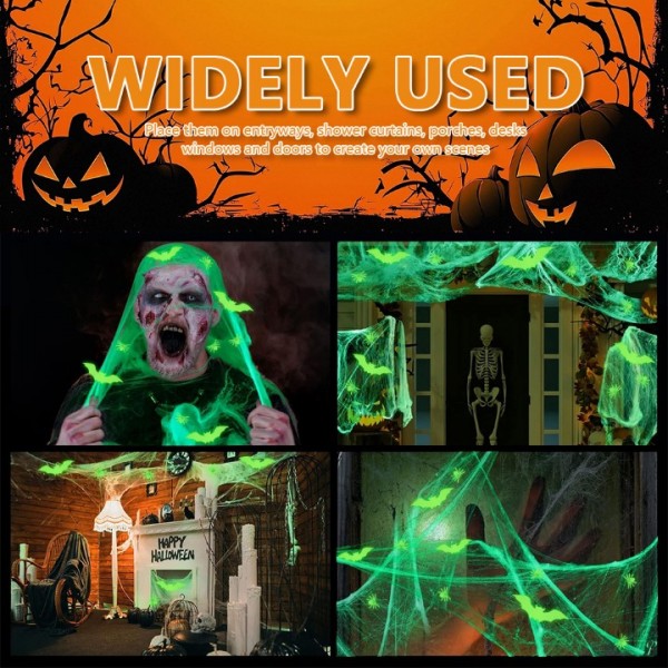 Glow Luminous Spider Web Set with Spiders and Bats
