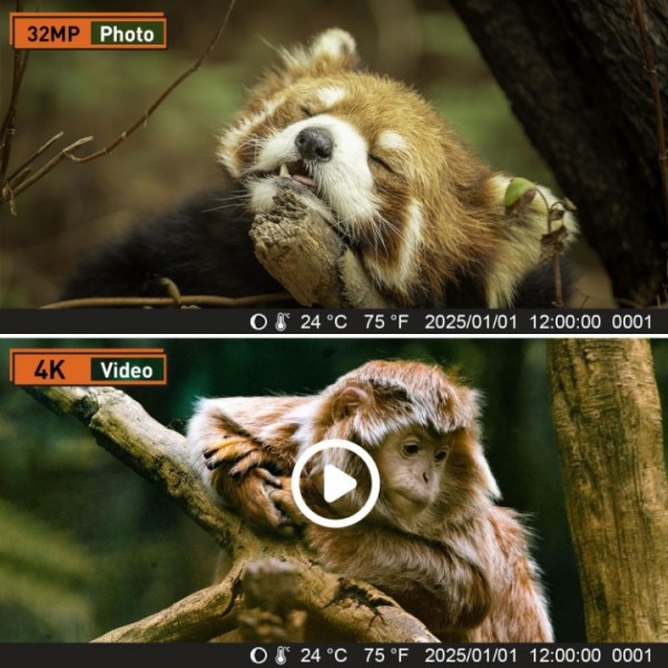 4K 32MP Waterproof No-Glow Night Vision Hunting Trail Camera